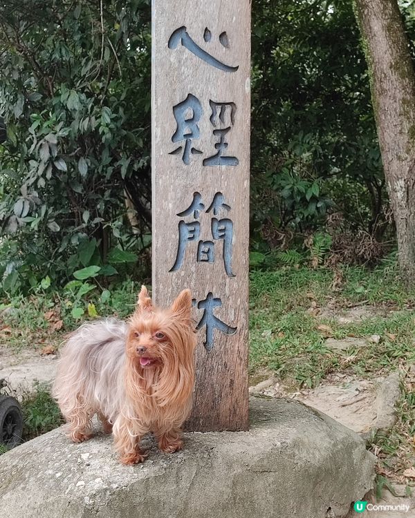 同妈咪一切开心