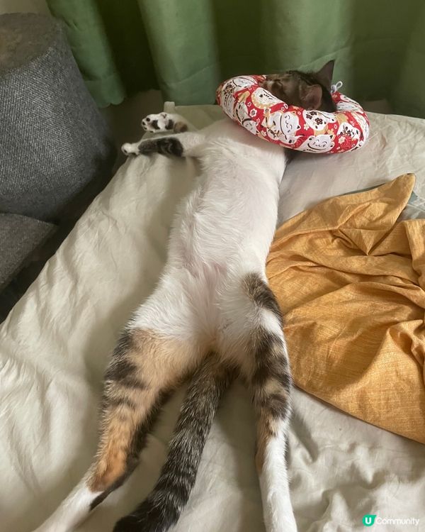 戴住水泡都戴到禁爽，真係hea到震