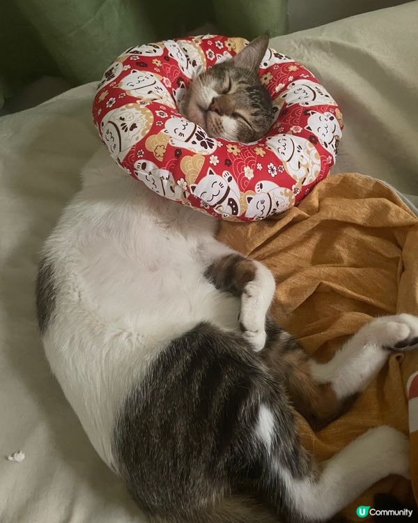 戴住水泡都戴到禁爽，真係hea到震