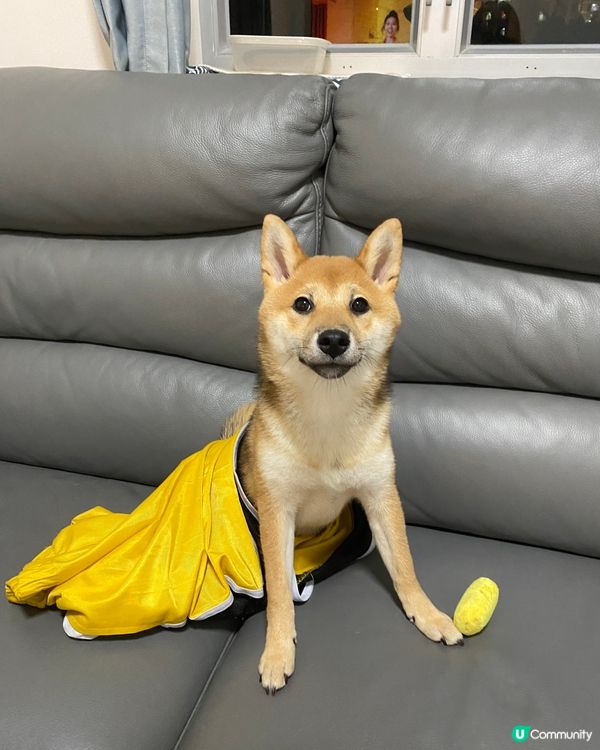 禾扮緊美人魚🧜‍♀️