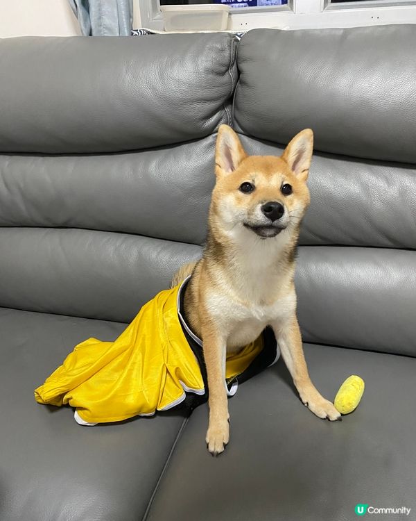 禾扮緊美人魚🧜‍♀️