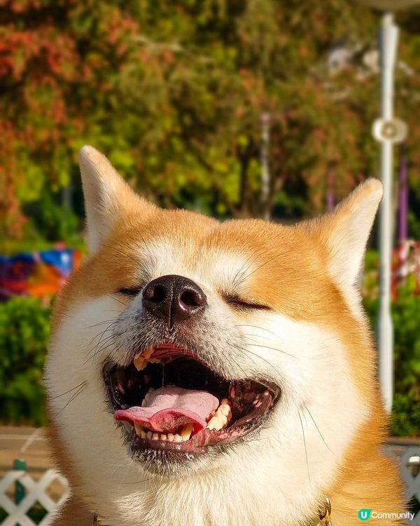 My Little Sunshine✨