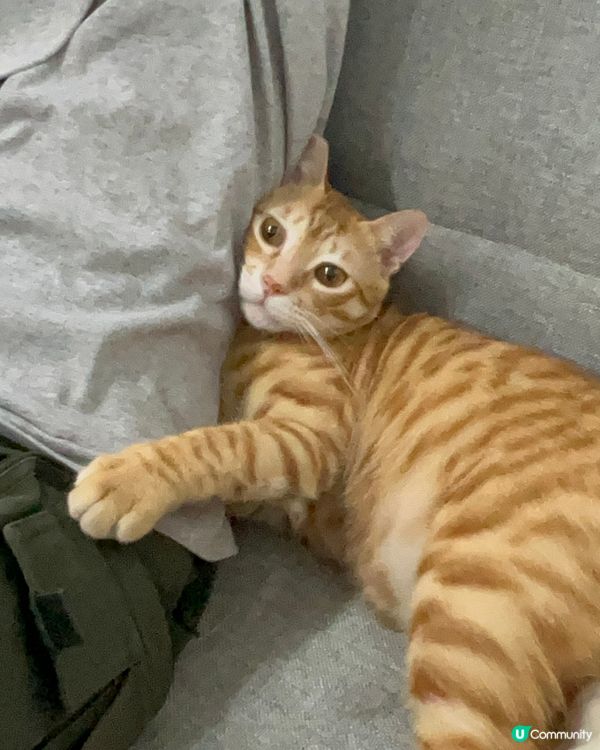 唔准走我要癡住你～