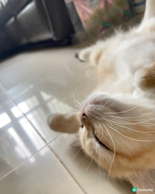 可以hea的話～不會郁！