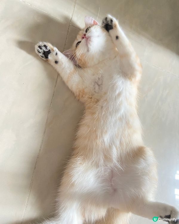 可以hea的話～不會郁！