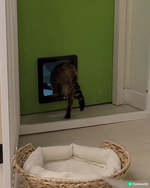 女，你專登整蠱爸爸嗎？ 襯爸爸瞓著覺時玩沖門遊戲，出出入入的...