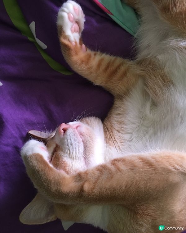 唏～放馬過嚟～我一拳一個～