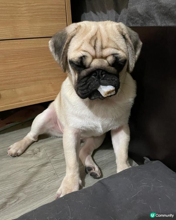 時間咁夜呢老人家就好少食宵夜，不過見阿孫仔請我食就一陣再洗個...