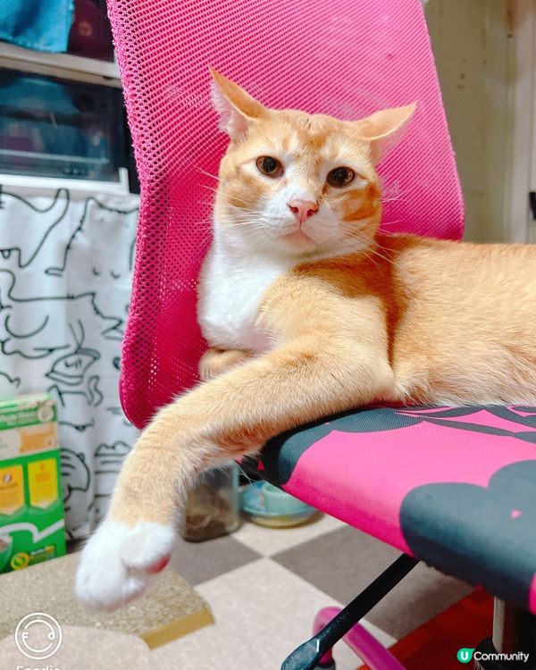 飛機耳～ 幾年冇飛 依兩隻嘢間中就開飛機耳提我好耐冇飛 😮‍...