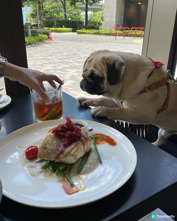 同心儀對象係港島區行左陣食個Tea，個境靚靚野食好味，最重要...