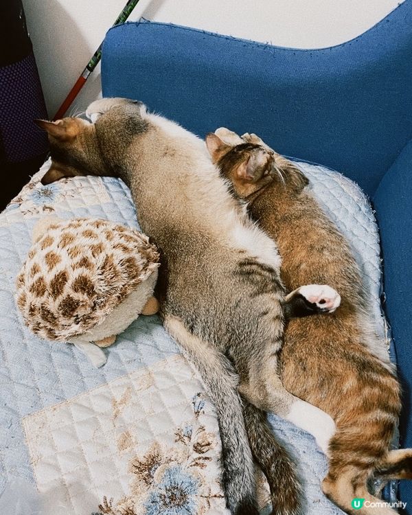 After：對比before真係長咗超級多😂😂