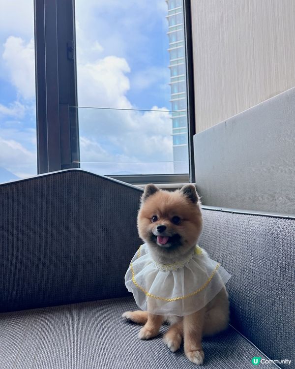 10.1&2 兩日一夜 Dogcation 🐶