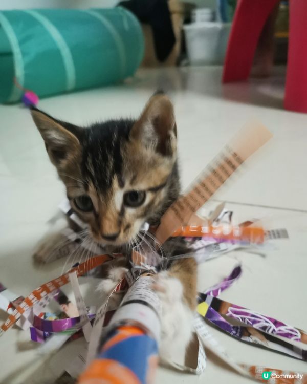 動手做環保玩具