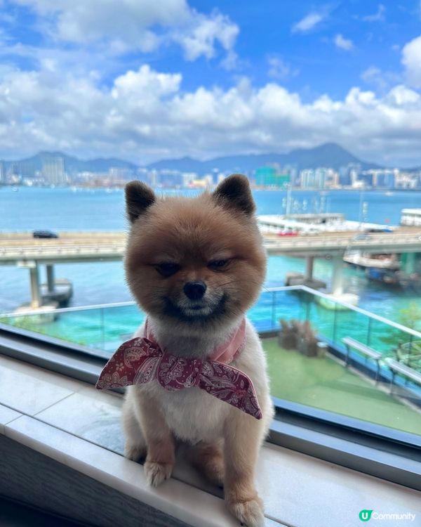 10.1&2 兩日一夜 Dogcation 🐶