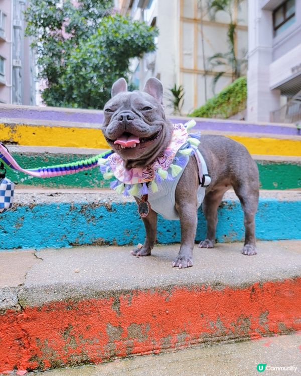 今日你哋笑左咗未？😄😃