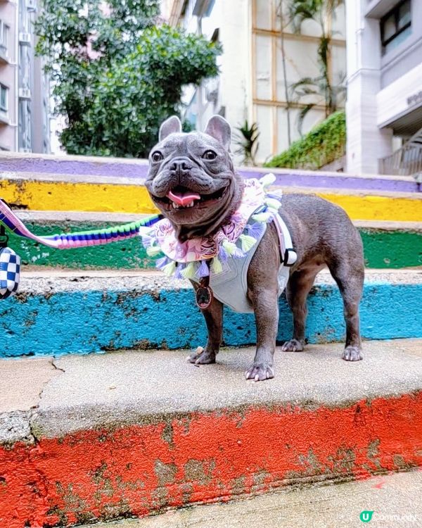 今日你哋笑左咗未？😄😃