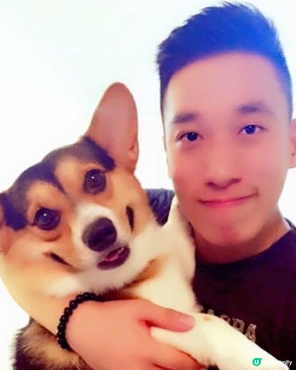 大家我Toffee小管家,迷人眼神加新‘煲呔’造型有唔有型?...