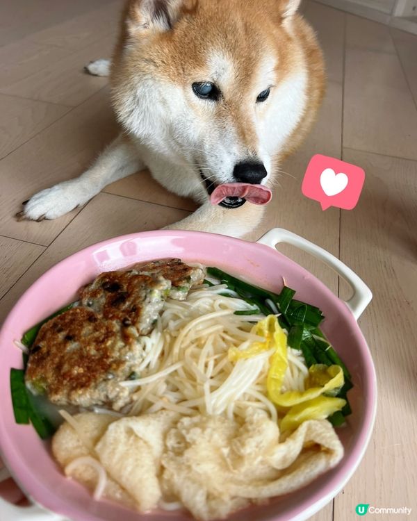 自家仔譚X米線🤪