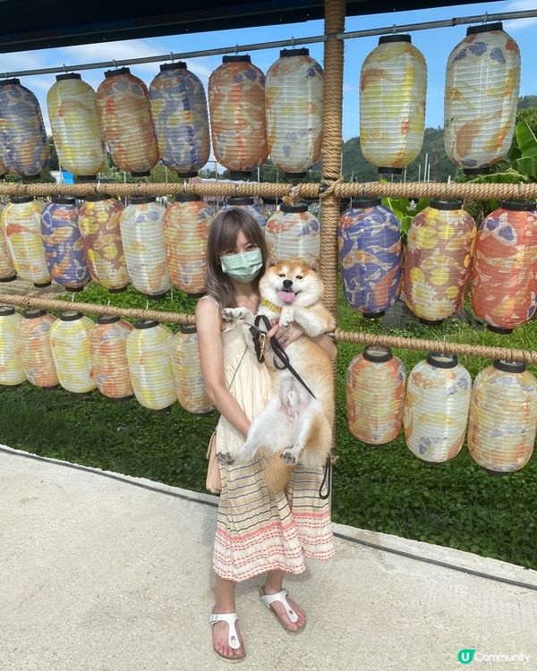 🦁我和媽咪一定係前世情人