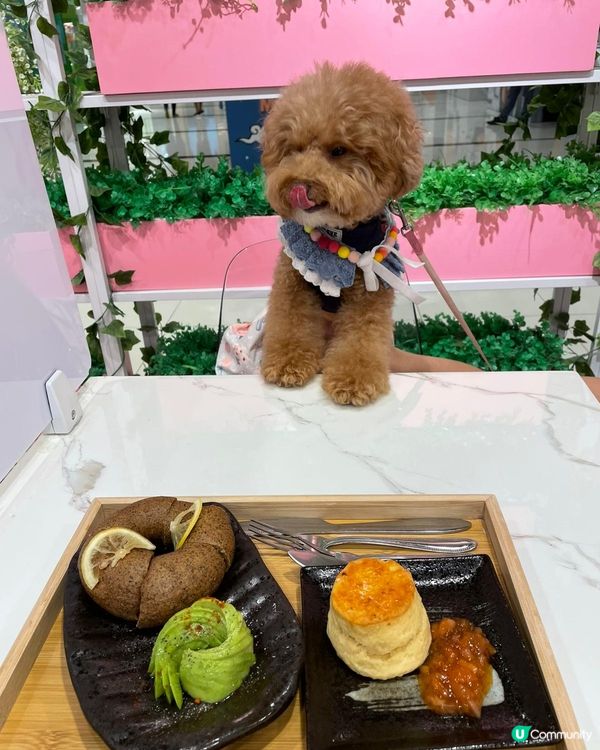 d野食好靚好香呀！禾知禾唔食得，唯有索多幾啖禾舔番個鼻幾下當...