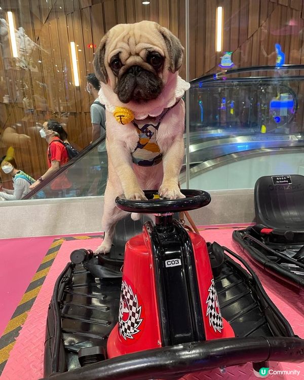 爸爸呢排係咁開Youtube比我咪下狗勾踩滑板神技、揸法拉利...