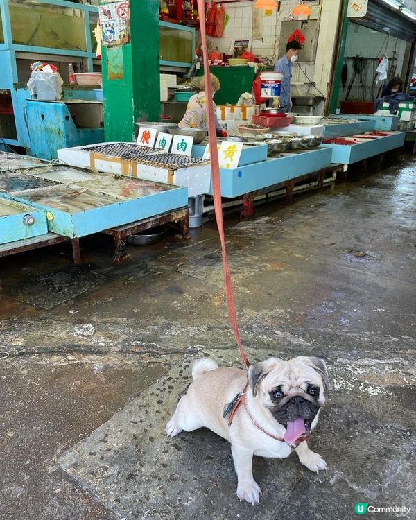 對於世界上任何野都係需要探索～