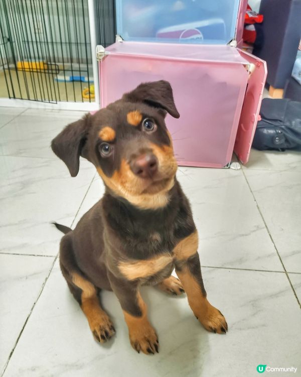 😲哦？乜唔可以去廚房架咩