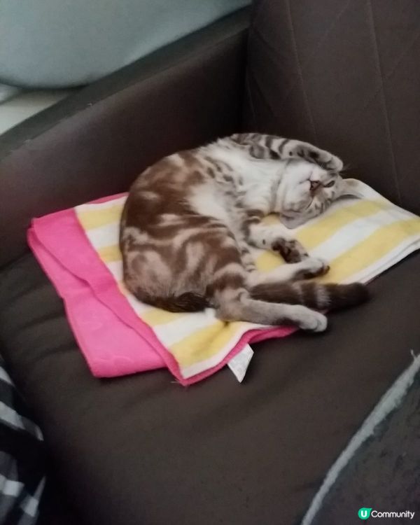 各位早唞啦💤bye