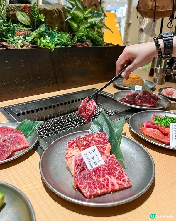 ✤♡ 日式烤肉店 • 露營主題 • 有ɢɪᴍᴍɪᴄᴋ又好味 ...