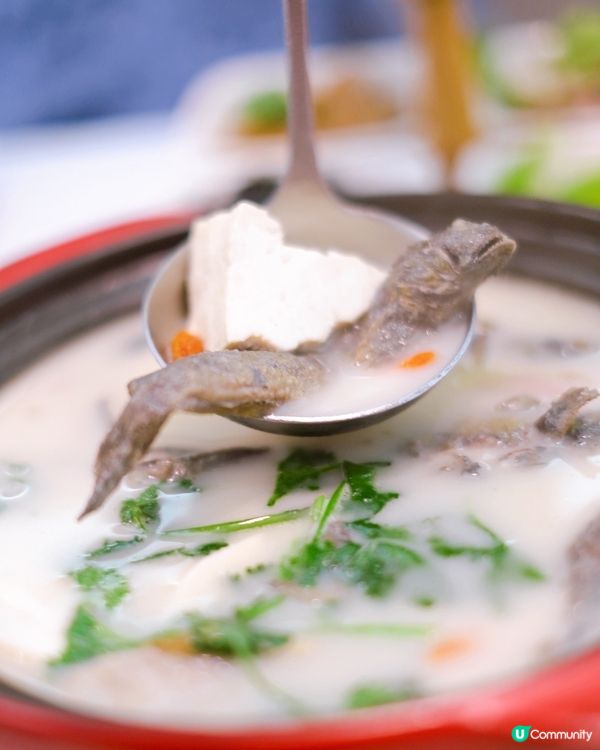 耐唔中都會嚟呢度食飯，座位多又寬躺，仲時常有季節限定菜式😍 ...