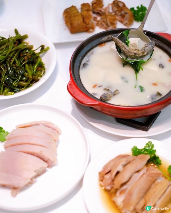 耐唔中都會嚟呢度食飯，座位多又寬躺，仲時常有季節限定菜式😍 ...