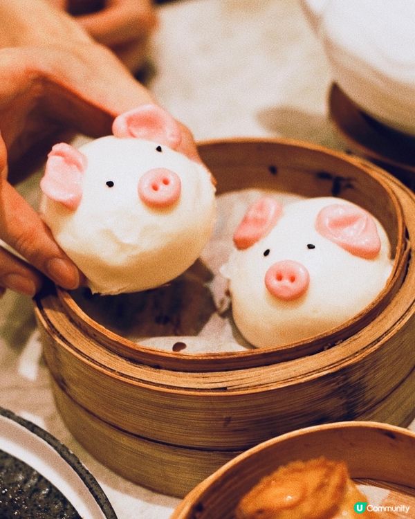 佔地7500 呎，位於鑽石山啓鑽商場，提供多款每日新鮮準備嘅...