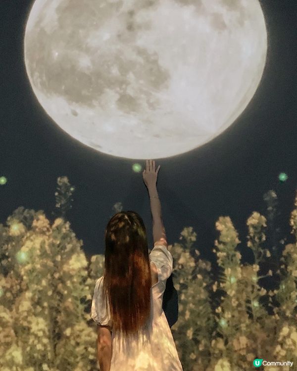 最近想離開一下現實🫧～