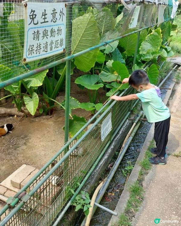 如果係網路上搜尋"農莊推介"，想必很多網站都會出現"十大農莊...