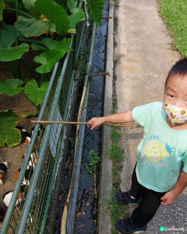 如果係網路上搜尋"農莊推介"，想必很多網站都會出現"十大農莊...