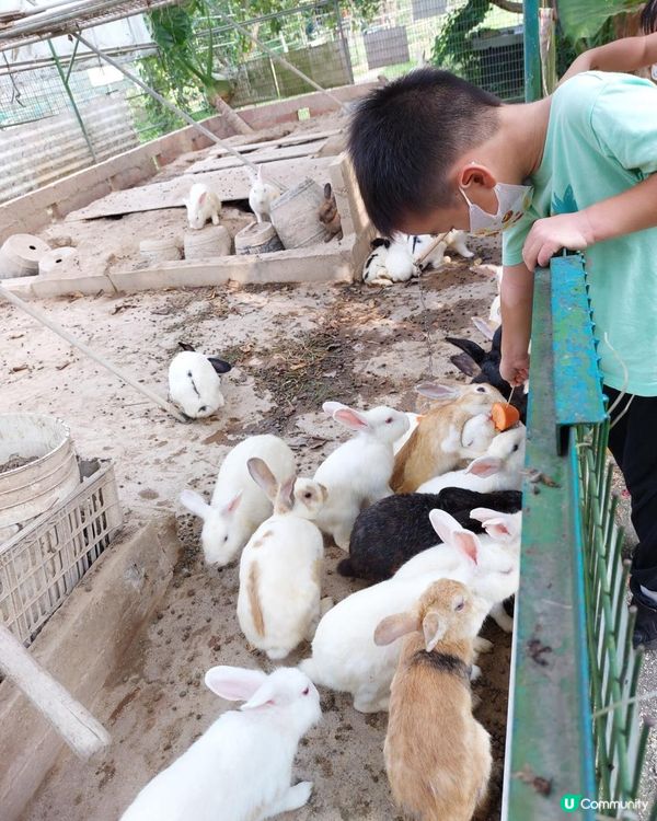 如果係網路上搜尋"農莊推介"，想必很多網站都會出現"十大農莊...