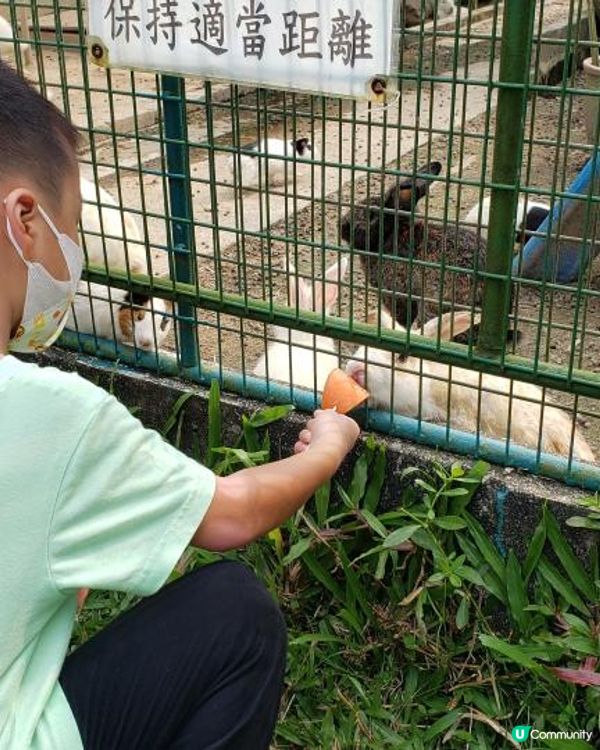 如果係網路上搜尋"農莊推介"，想必很多網站都會出現"十大農莊...