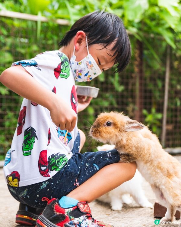 之前約咗朋友快閃一轉錦田，