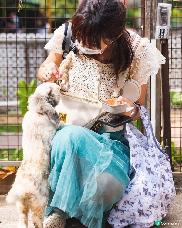 之前約咗朋友快閃一轉錦田，