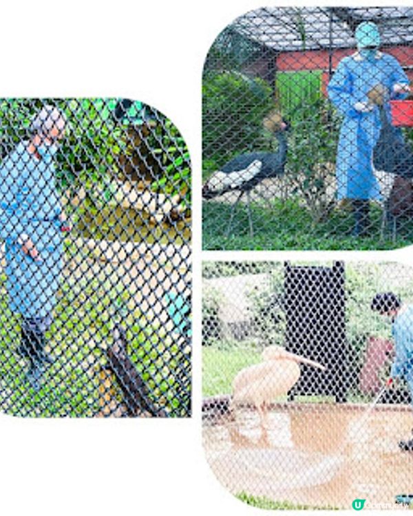 香港🇭🇰一向予人「石屎森林」嘅印象🙈