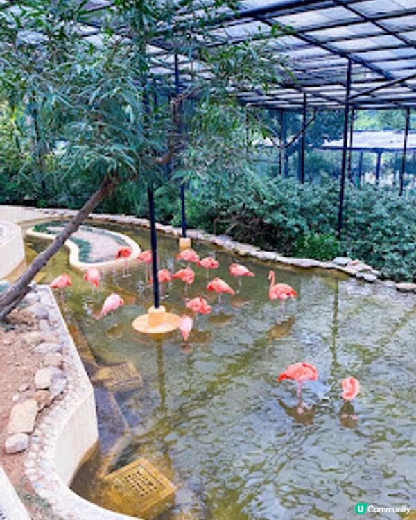 香港🇭🇰一向予人「石屎森林」嘅印象🙈