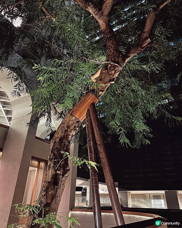 Semi-buffet Dinner $728+10%