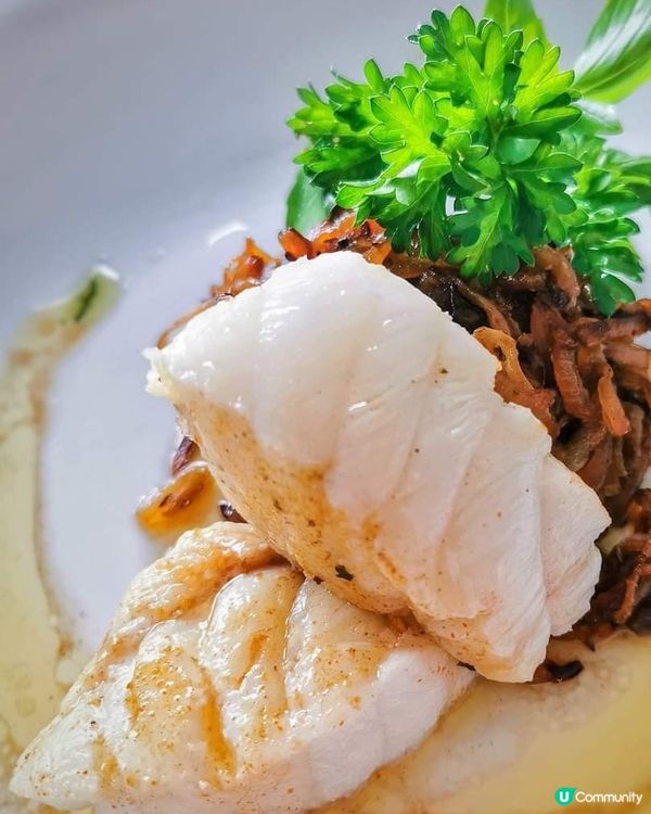 慢煮鮟鱇魚.黑醋焦糖洋葱