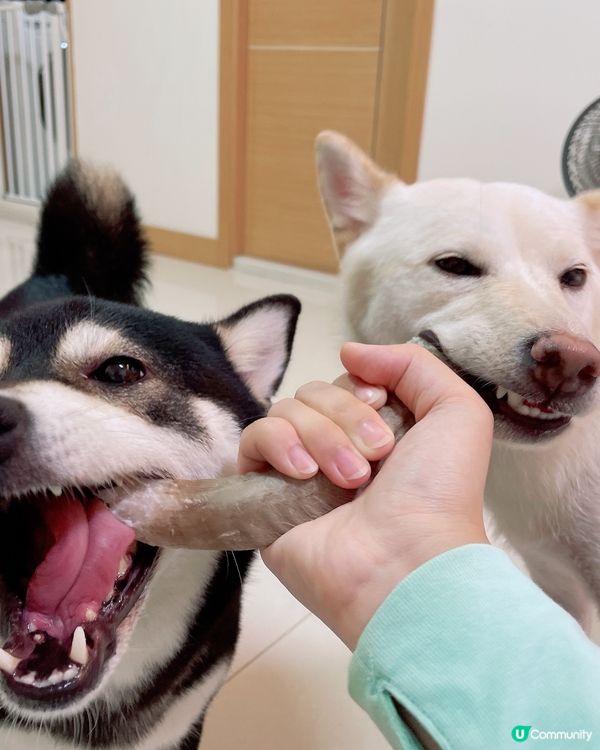 兩母女一舊角都要兩份食😆