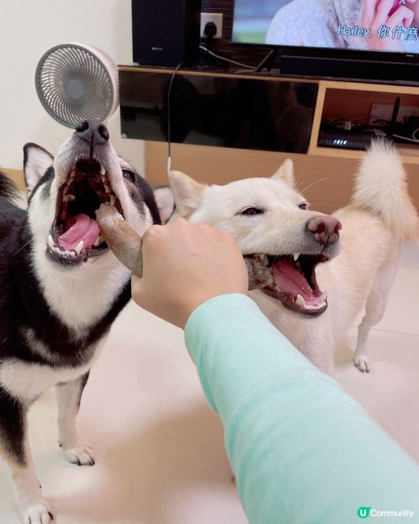 兩母女一舊角都要兩份食😆