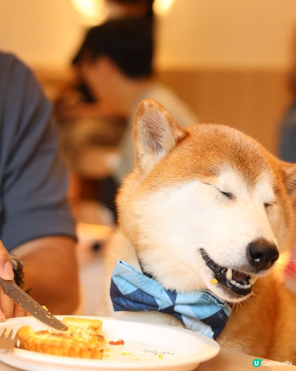 A comfy place where CarCar can...