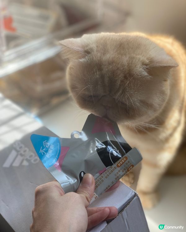 又到tea time 喂下醬醬先