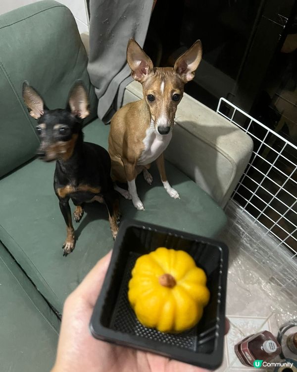 Happy Halloweens~~~~~~