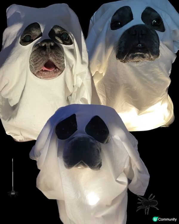 琴日Halloween. 零成本✂️左件衫扮👻