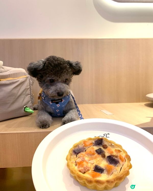 媽媽要相機食先，搞到我等左好耐先有得食😒